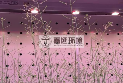 8中國(guó)農(nóng)科院生物技術(shù)所 (1).png